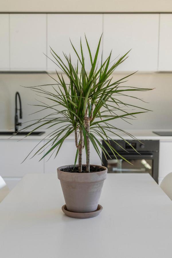 La Dolce Vita - Sunny Penthouse Trastevere Station 100Sqm Roma Eksteriør bilde